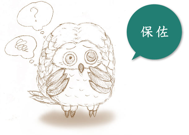 保佐 判断能力にかなり衰えがある